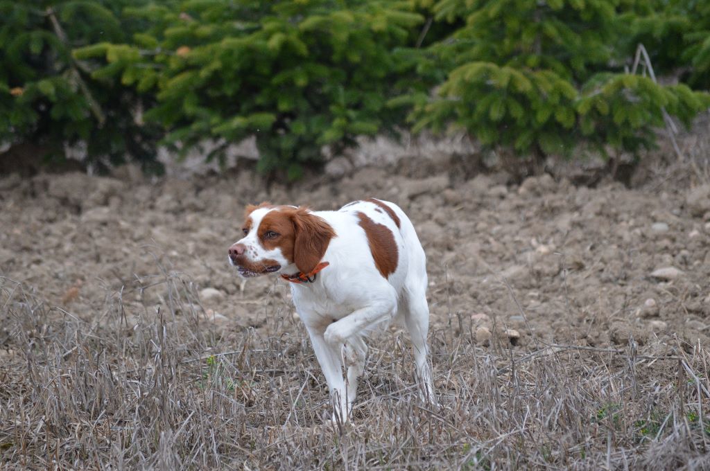 Nélya Du Vallon De Précy