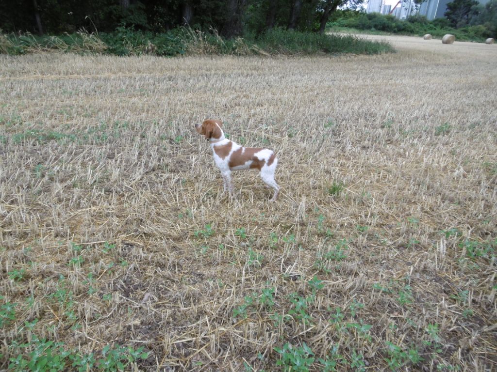 Romy Du Vallon De Précy